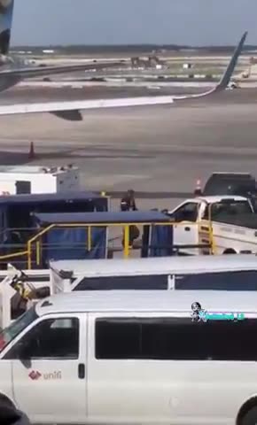 DEI Is Changing the Airline Industry Flight Canceled after Black Pilot Removed.mp4