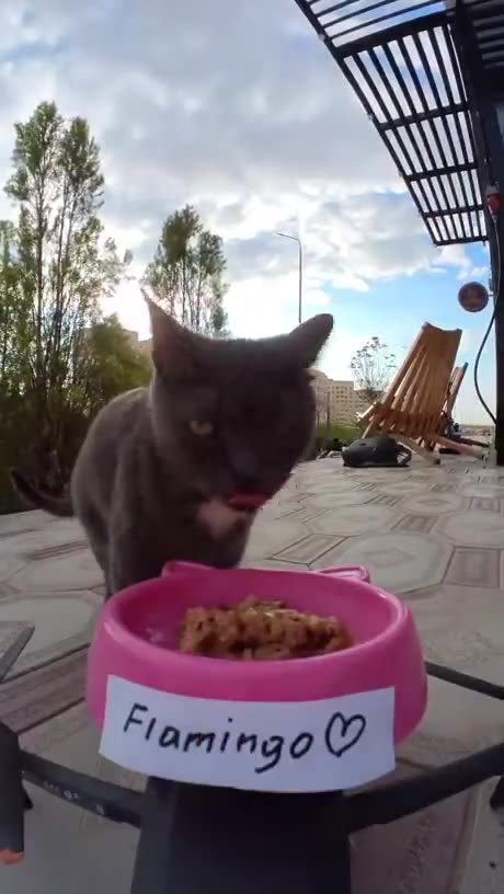 Sooner rather than later, this will be the norm in Ukraine..