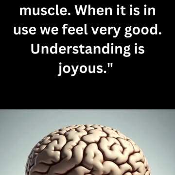 The Best Thought for the Day | Daily Inspirational Quotes