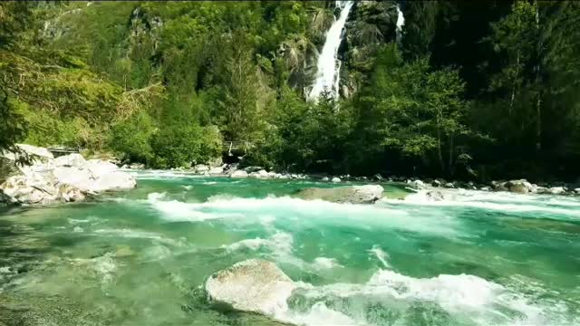 Relaxing Music In Sunny Morning