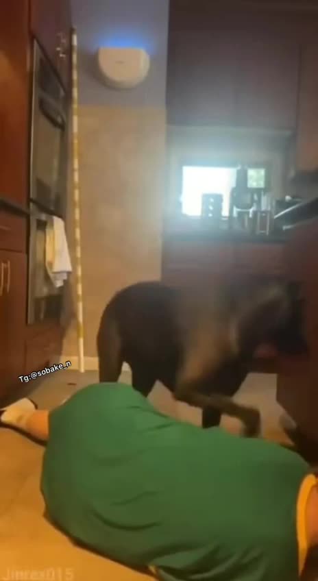 The girl decided to check how the dog would behave if she suddenly became ill.