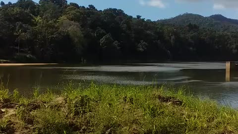 12.7.2024 The Barron River, Kuranda (5)