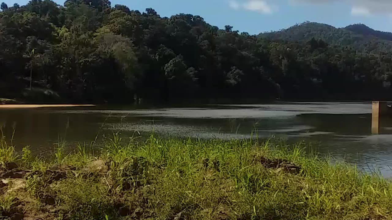 12.7.2024 The Barron River, Kuranda (5)