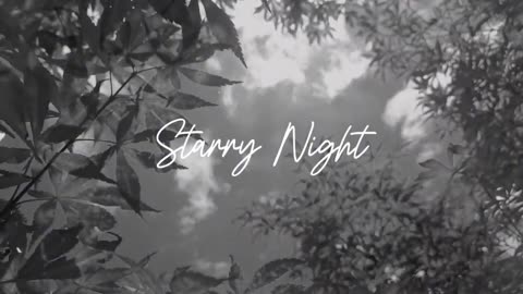 #LOFI - STARYY NIGHT