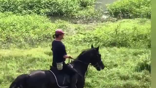 World famous horse exchange, Relax with horses in the wild #shorts