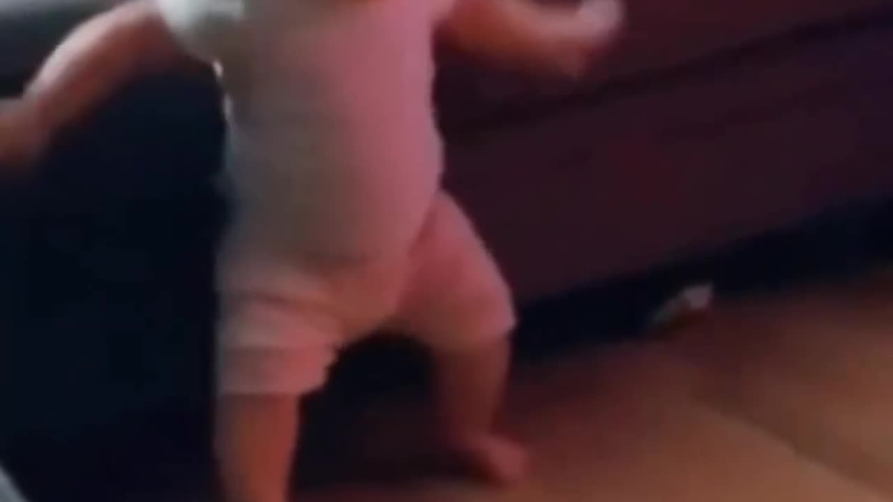 Funny Videos of Babies Laughing | Funny Babies | Cute Baby Funny Videos