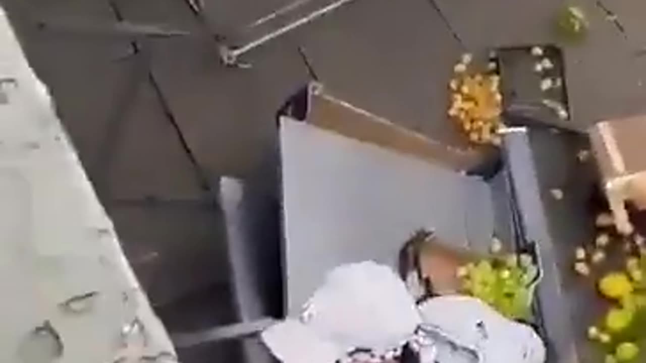 Yesterday in Essen, Germany, a Syrian migrant set fire to two houses.