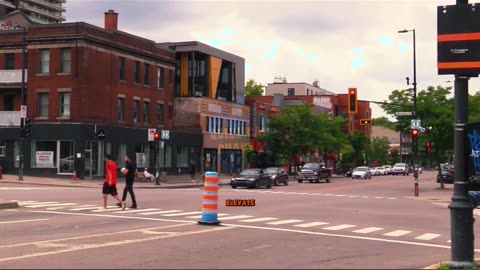 Traffic Lights as Urban Art_ Elevating Functional Necessities Through Creative Expressions