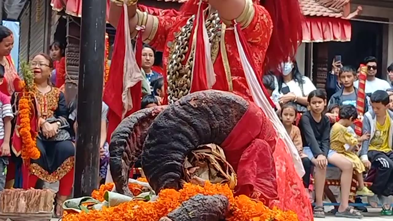 Gathu Pyakha (Pachali Bhairav 12 Barsa Jatra) IX