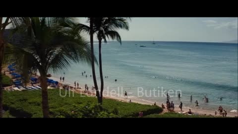 Ulf Lundell - Butiken