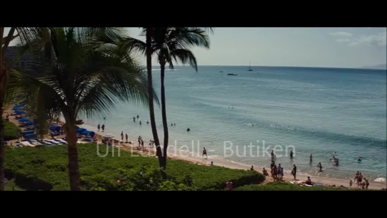 Ulf Lundell - Butiken