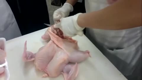 Hostesses for armament. Chicken fillet. No thanks, study