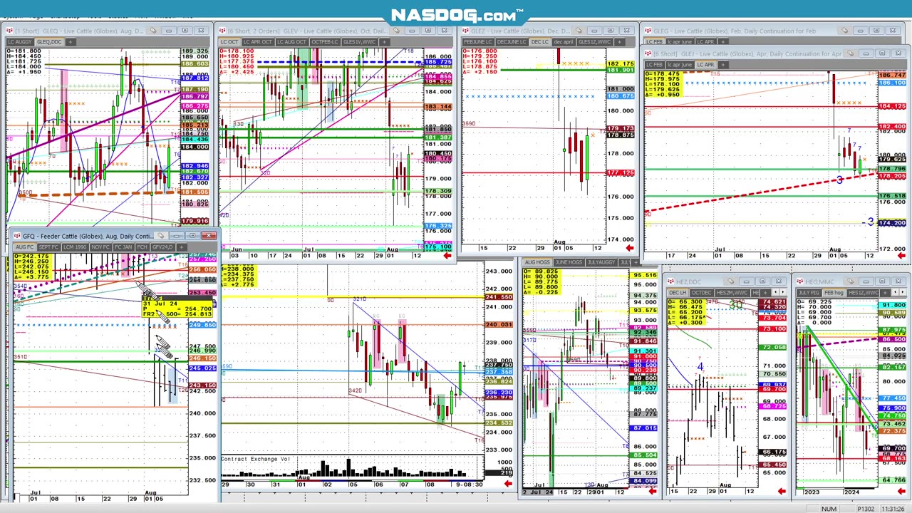 CATTLE August 9th Prices bounce, Olive buy? silent vid, gd