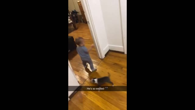 Baby has adorable reaction to new puppy addition #Shorts