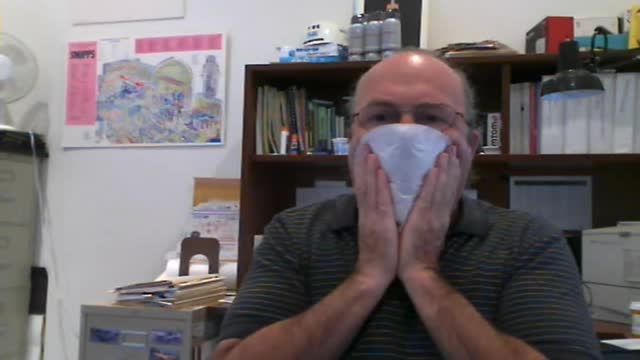 Should You Wear a Face Mask-(Short Version)