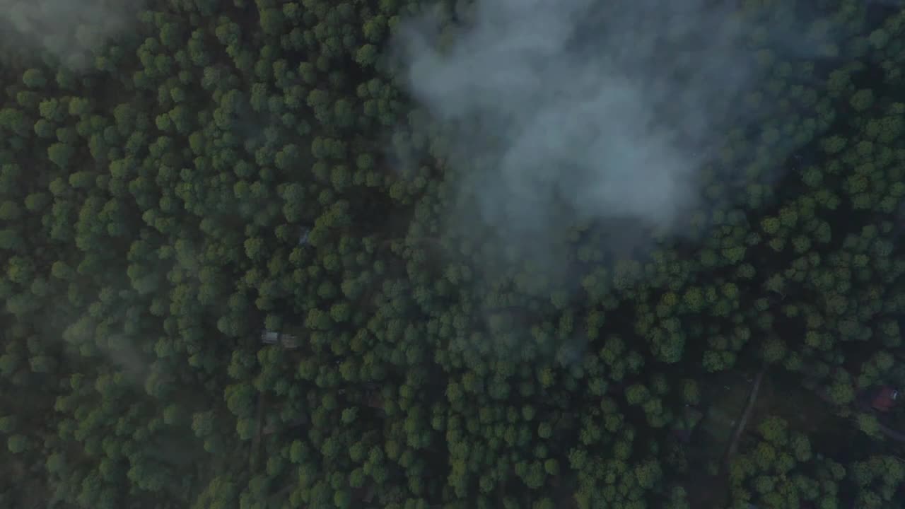 Tree covered forest from above through the clouds