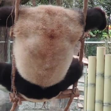 Little booger is going to give his mom a heart attack 🤣