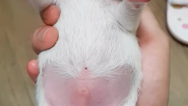 My newborn baby