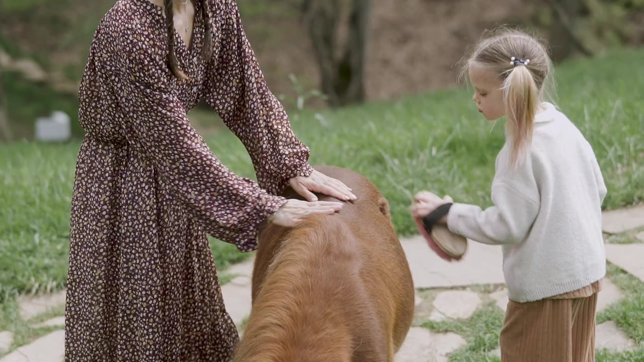 Animals lover with animals