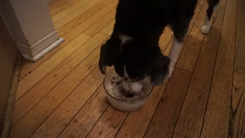 THE MOST IMPORTANT MEAL OF THE DAY