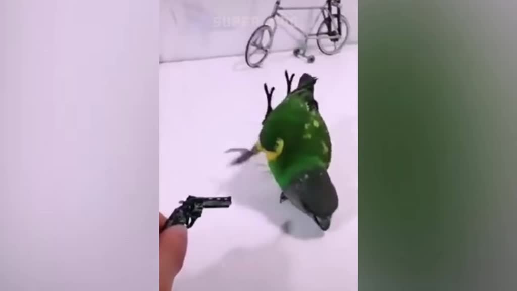 actor bird