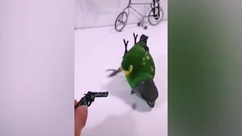 actor bird