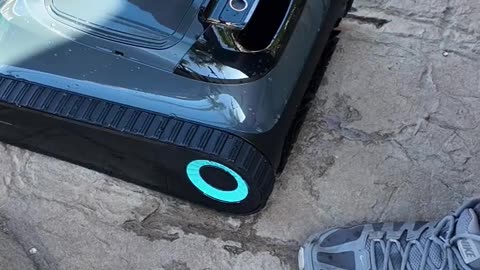 Best Robotic Pool Cleaners for Inground Pools: Top Picks & Reviews