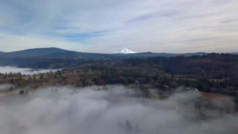 if heaven is seen from above - the sound of nature