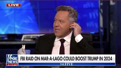 Gutfeld 💥