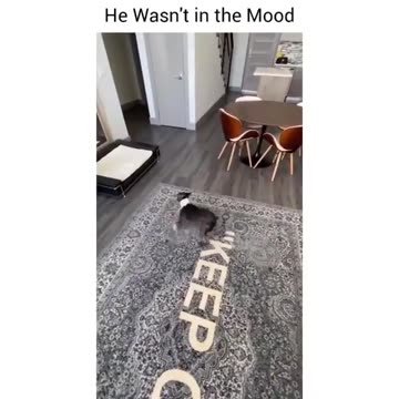 He definitely wasn't having it