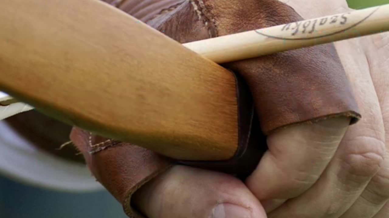 owhunting FACTS: Choose Your Arrows Wisely! 🏹 #shorts #facts #hunting #bowhunting