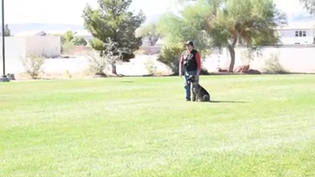 DAVID RIVISTO IPO OBEDIENCE ROUTINE II