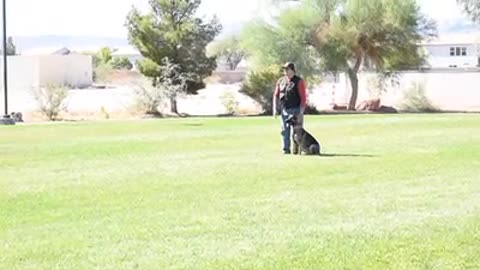 DAVID RIVISTO IPO OBEDIENCE ROUTINE II