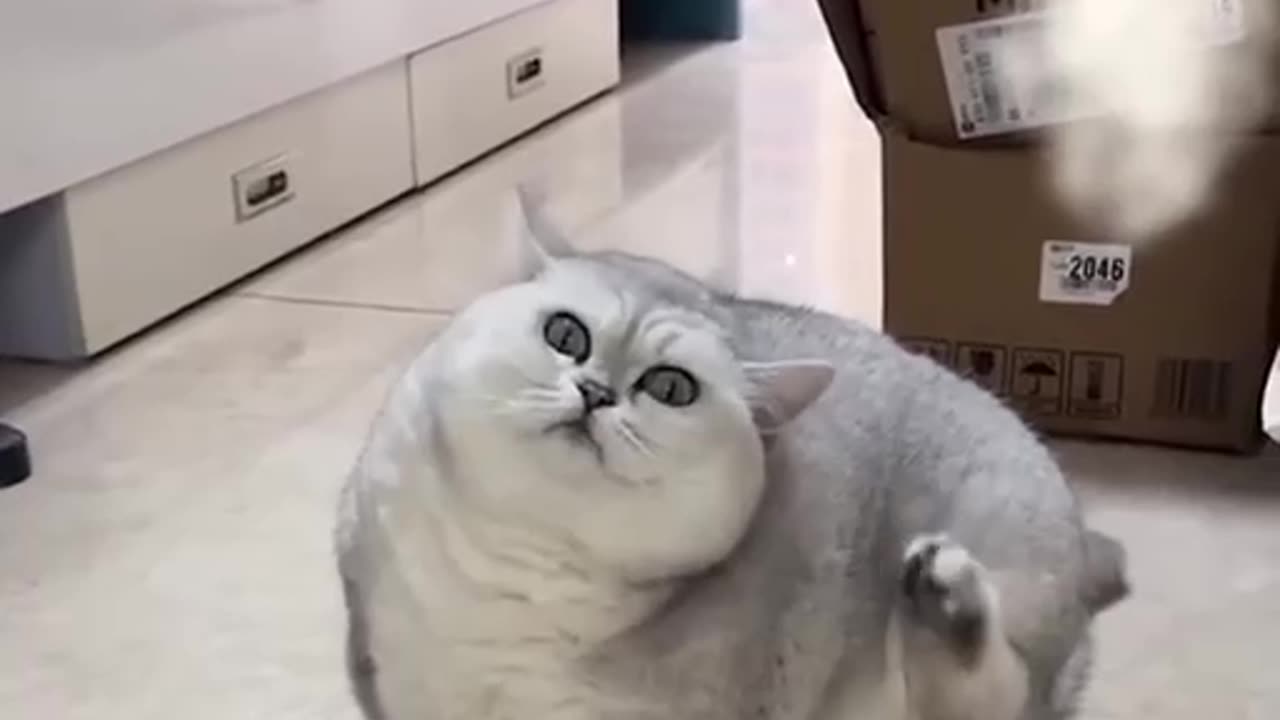 When you packed on too many pounds 🤣