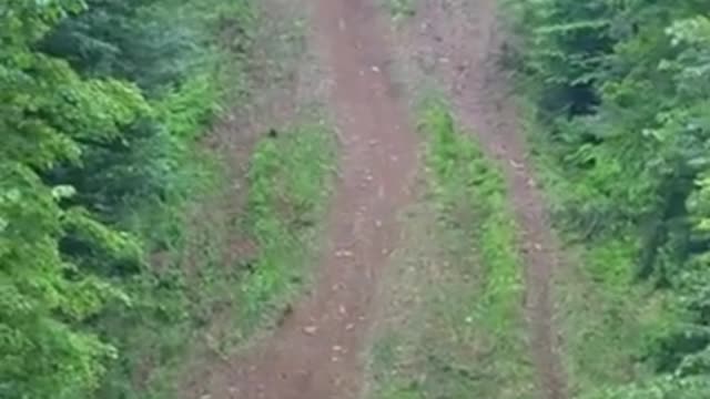 Super racing