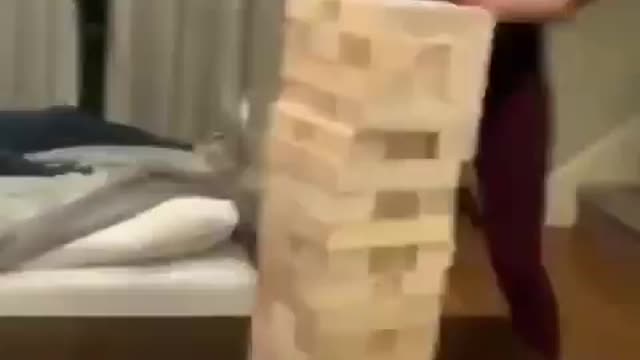 Best Funny Animal Videos 2022 😺 Funny Dog Videos 2022 😁 Funniest Dog Videos 😁😇