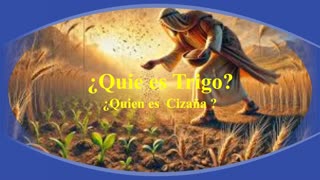 ¿Quién es el Trigo y quien la Cizaña ?_ Devocional.