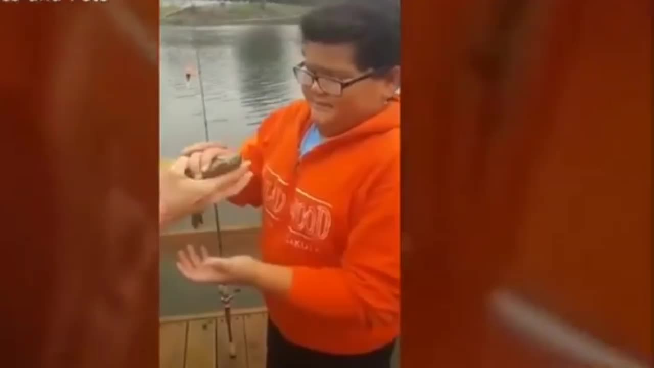 Animal funny moment catch by camera (part-1)