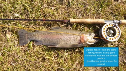 How to examine farmned fish for fishing Short Fragmentary instrution