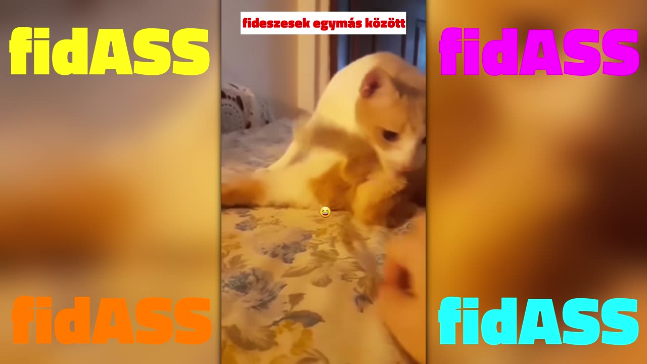 fidASS