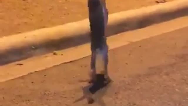 RABBIT FIGHT