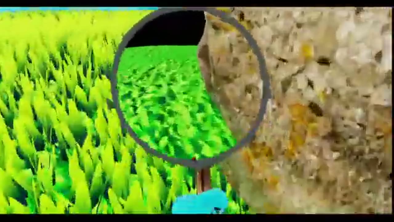 Rouge & Friends (VRCHAT) on hands