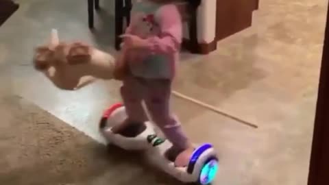 Try Not To Laugh - Fails Compilations