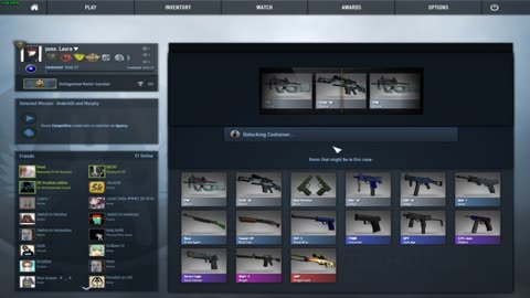 Cobble Stone Case Opening