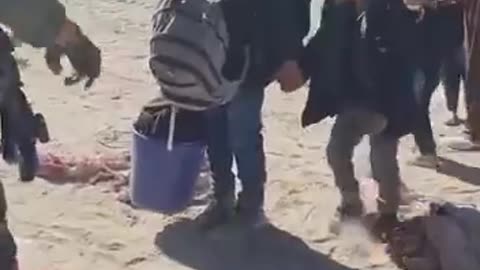 🇮🇱 YOU WILL NEVER SEE THIS IN THE MAINSTREAM MEDIA - IDF SOLDIERS, GIVING FOOD AND WATER TO GAZANS