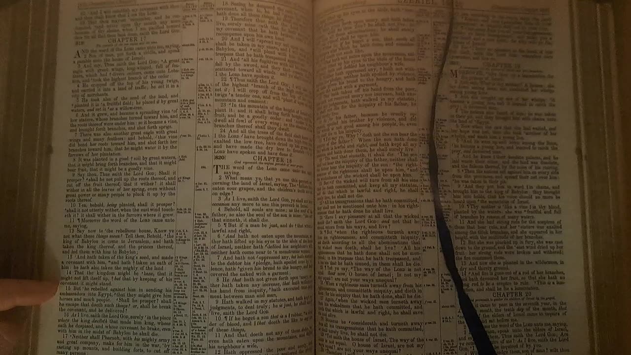 Ezekiel 17
