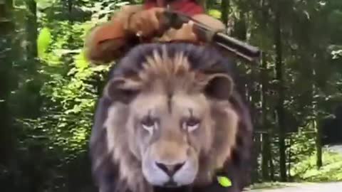 VEJA NOSSOS VÍDEOS AQUI