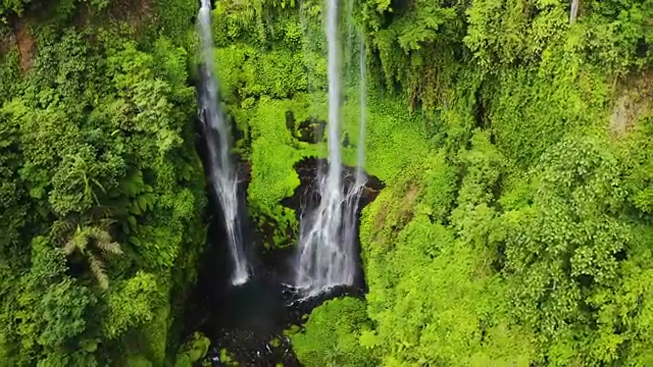 Amazon Jungle 4K/ Wild Animals of Rainforest/ Relaxation Film/ Meditation Music & Nature Sounds