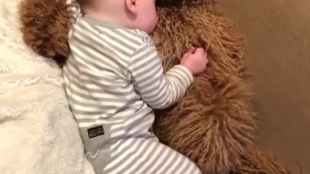 Baby's best friend