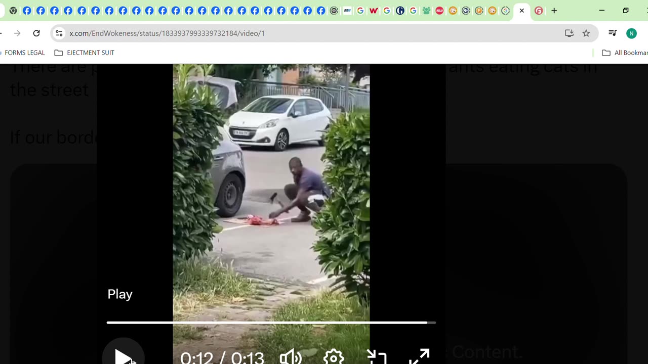 VIDEO OF A IMMIGRANT SLAUGHTERING A CAT